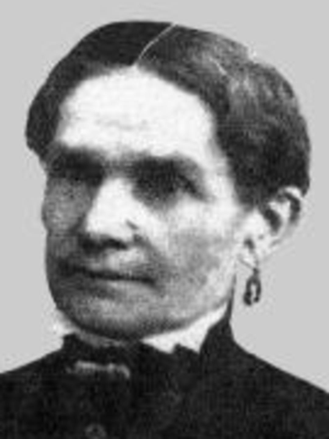 Sarah Ann Wilcox (1826 - 1892) Profile